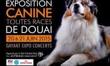 Du Domaine Des Pattes D'ours - expositons canines