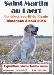 Du Domaine Des Pattes D'ours - exposition canine saint martin au laert